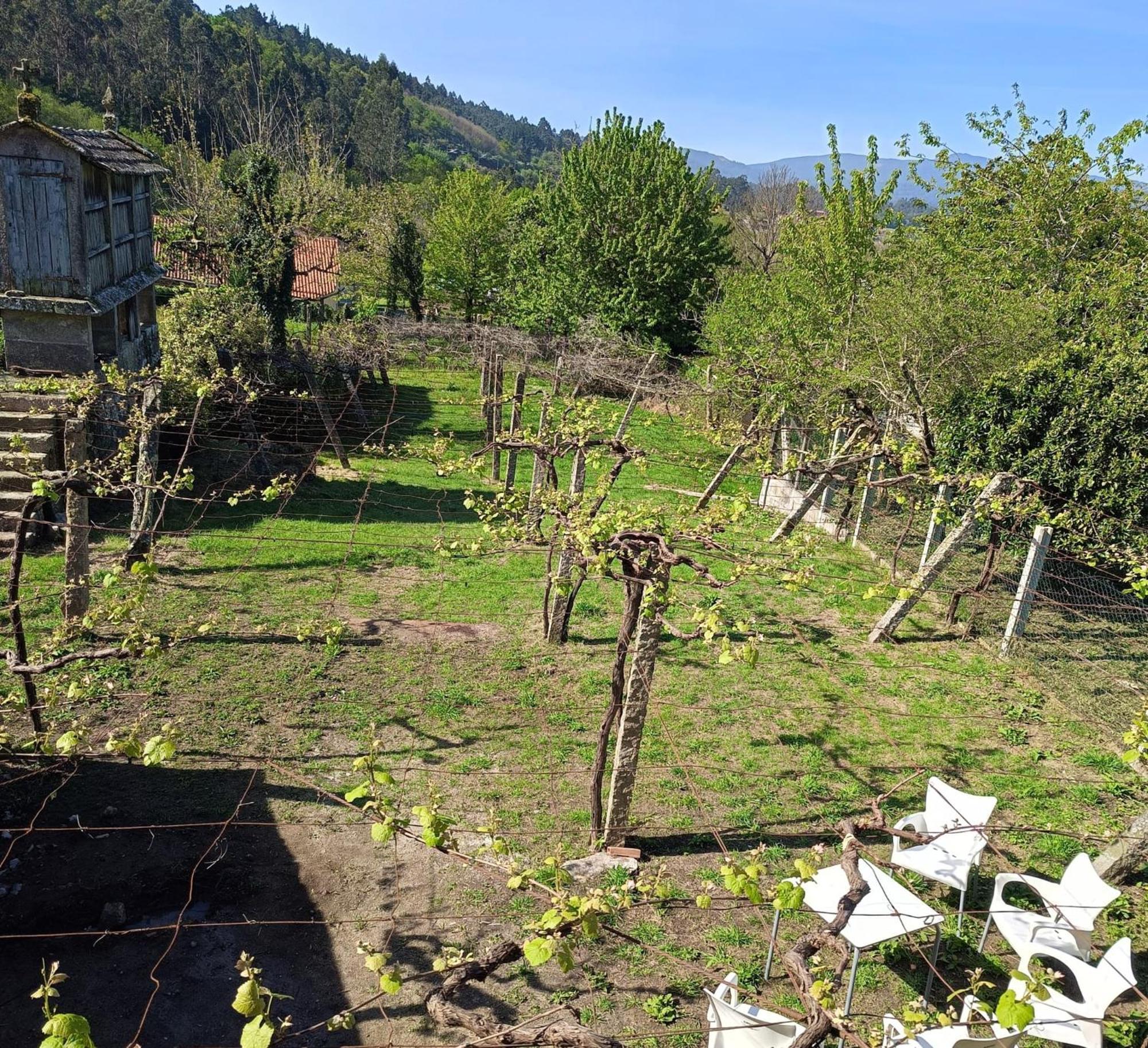 Pension Rural Para Peregrinos "Areal" Padron Luaran gambar